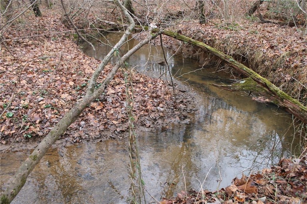 108.61 ac Tomlin Mill Rd, Statesville, NC 28625 - photo 1