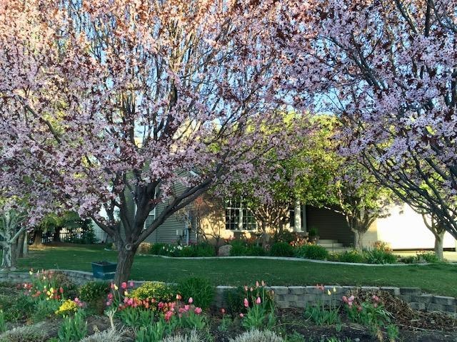 2410 Boardwalk Ct, Burley, ID 83318 - photo 1