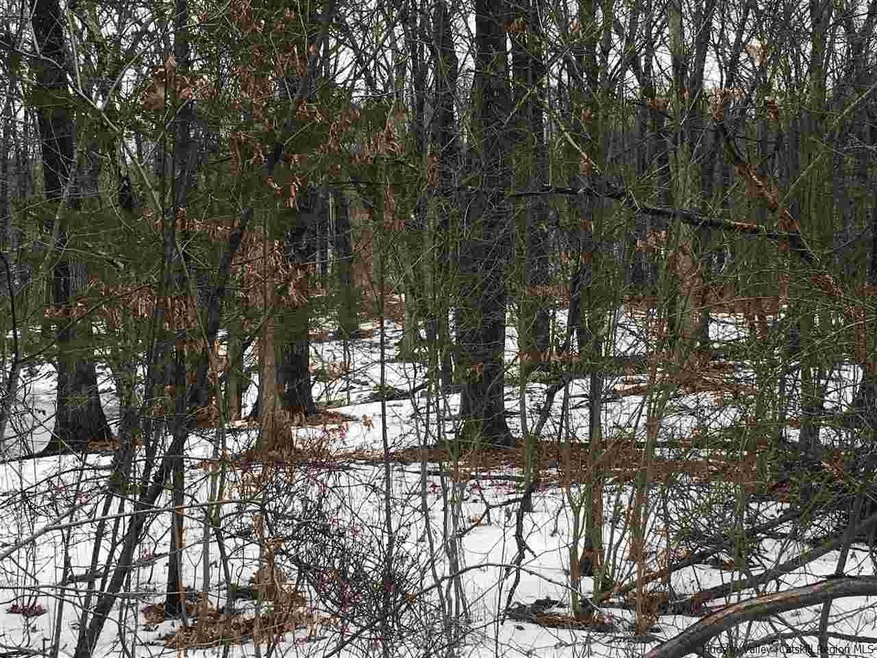 715 Broadway, Ulster Park, NY 12487 - photo 1