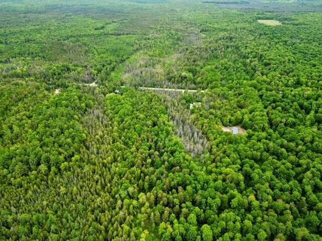 160 A Saint Ignace Rd unit 160 A, Hessel, MI 49745 - photo 1