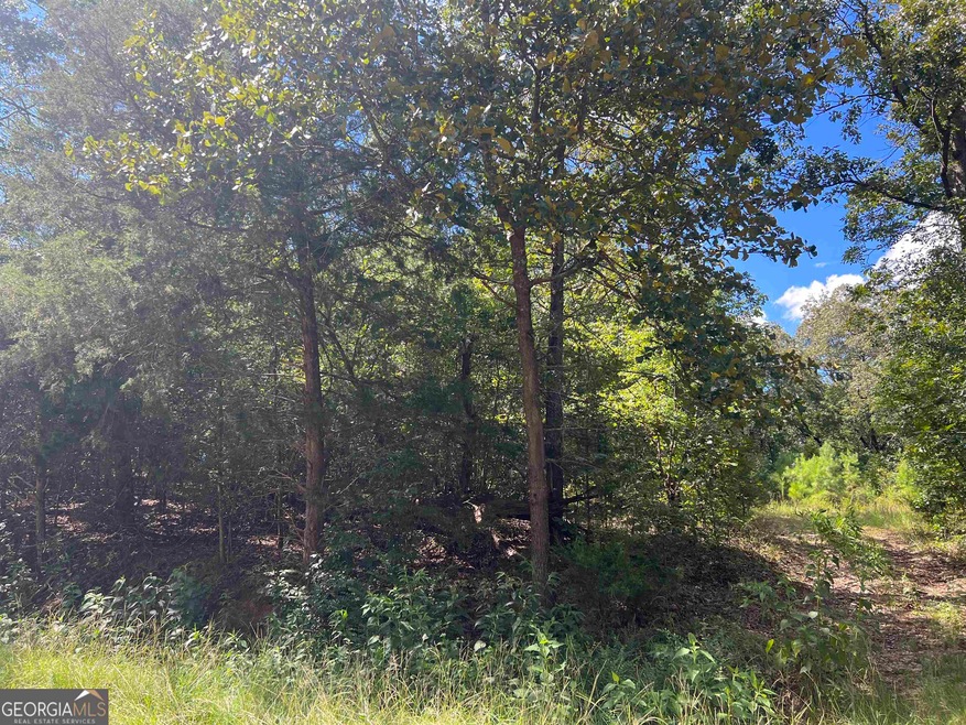 0 Davids Home Church Rd unit 20141592, Comer, GA 30629 - photo 1