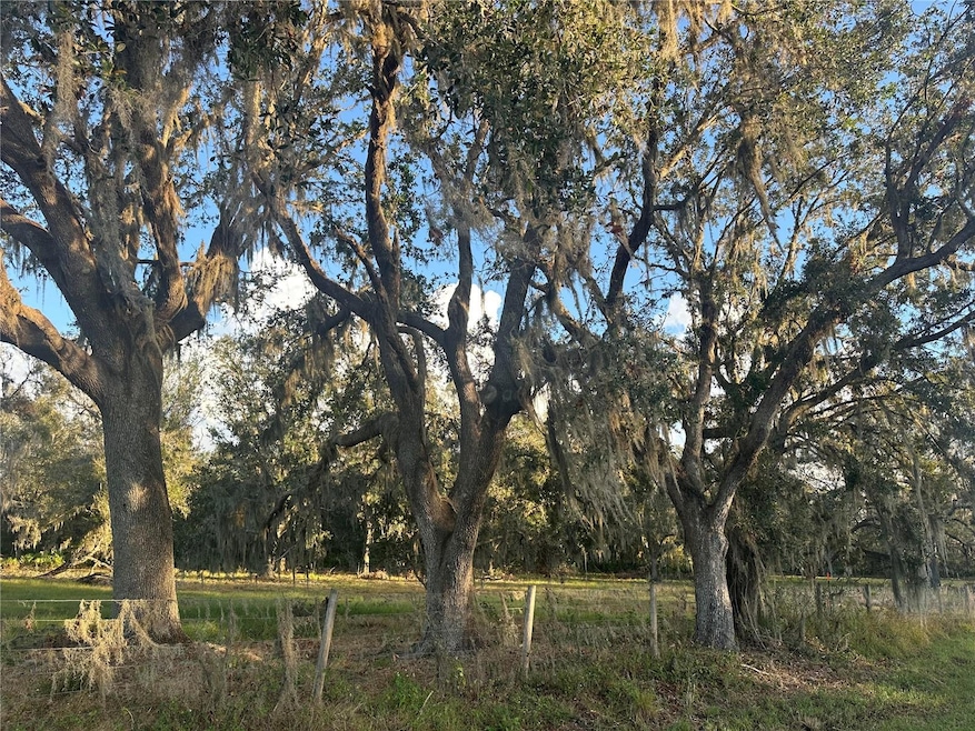 0 Polk Rd unit MFRA4632828, Wauchula, FL - photo 1