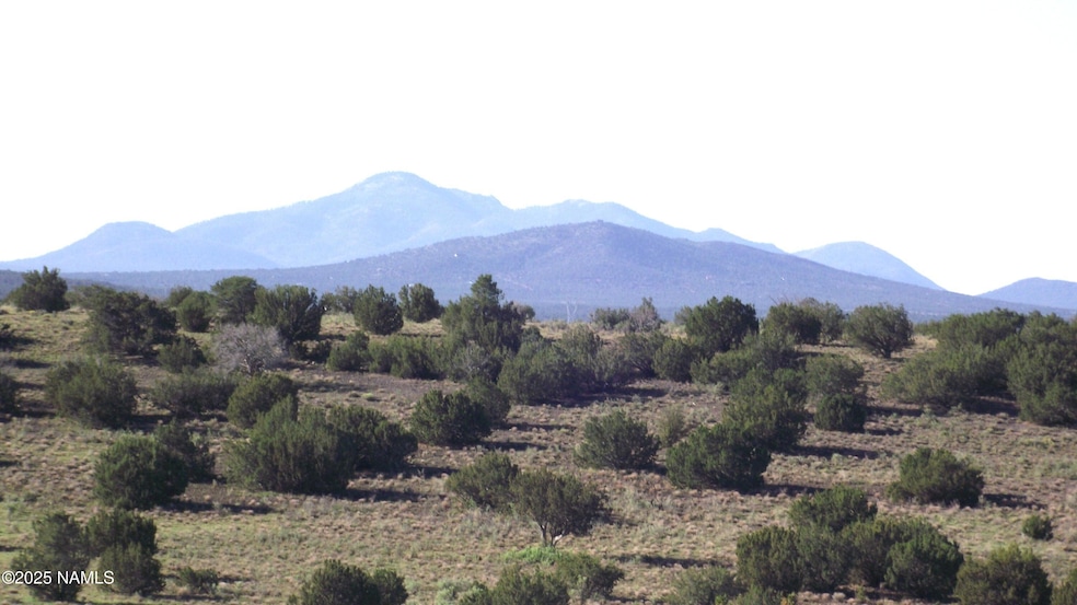 11139 Howard Mesa Loop, Williams, AZ 86046 - photo 1