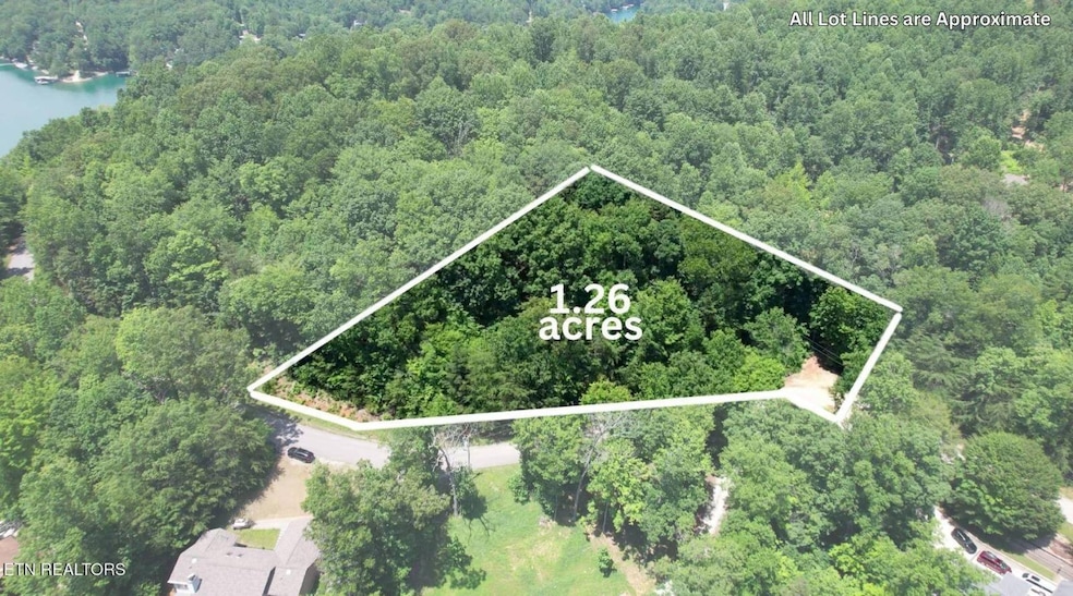 00 Cove Pointe Rd, Lafollette, TN 37766 - photo 1