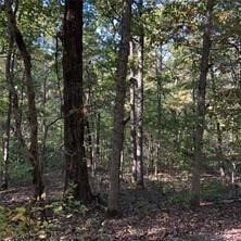 TBD Lot 4 Holcombe Ln, Bella Vista, AR 72714 - photo 1