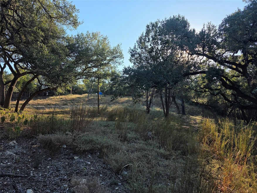 201 Sycamore Valley Rd, Dripping Springs, TX 78620 - photo 1