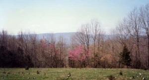 Land
