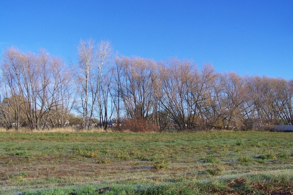 Bachelorview