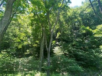 0 Good Rd unit 703606, Lower Mount Bethel Township, PA 18013 - photo 1