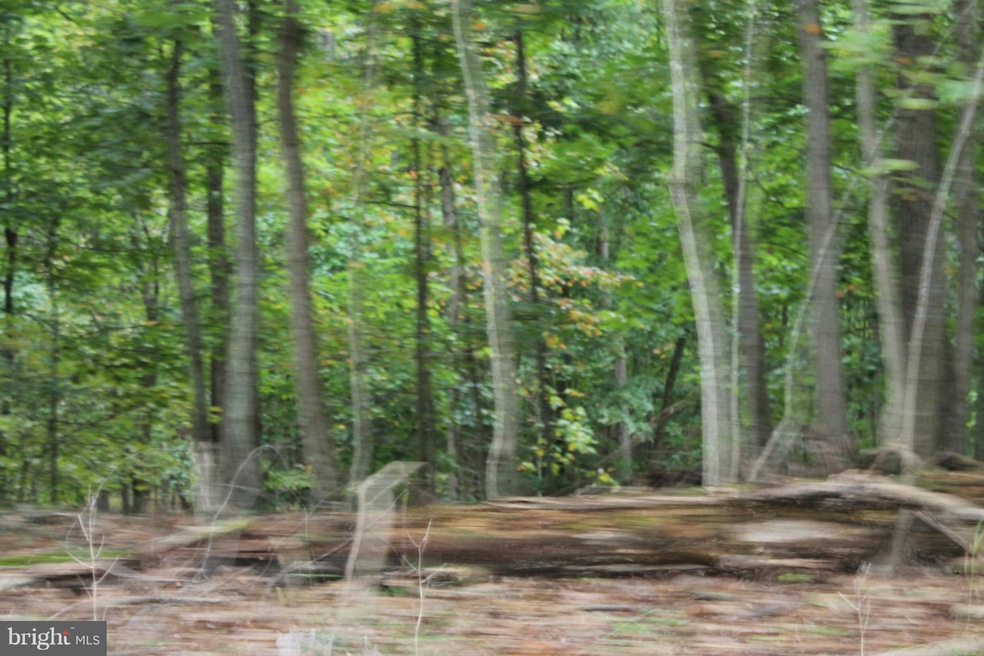 0 Mission Rd unit 1000217959, Harpers Ferry, WV 25425 - photo 1