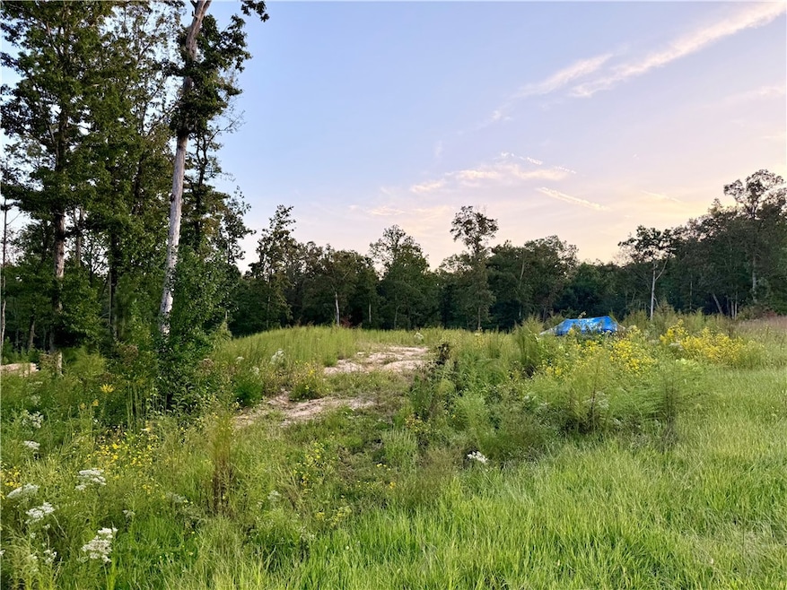 00 N Hwy 11, Salem, SC 29676 - photo 1