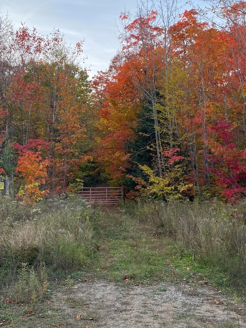 519 wooded acres