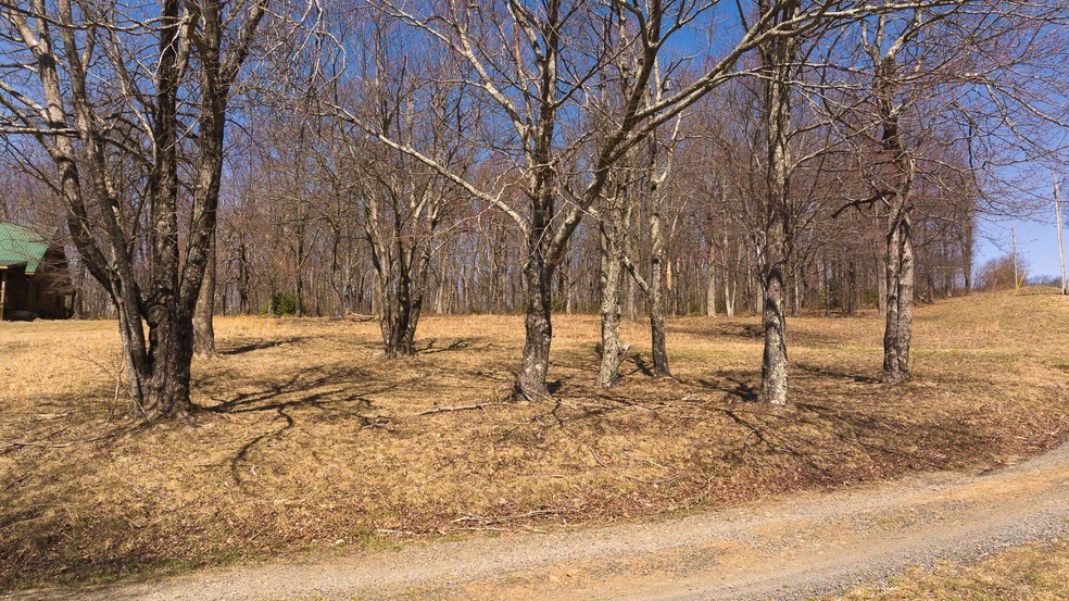 TBD Grandview Dr, Meadows of Dan, VA 24120 - photo 1