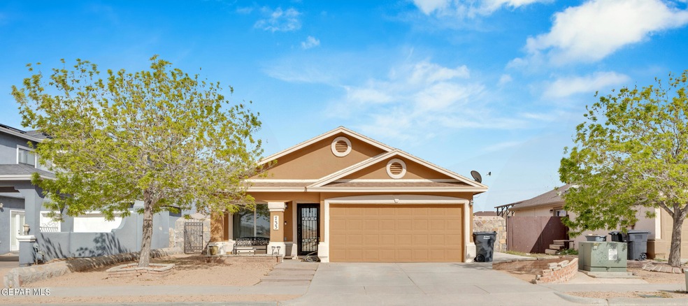 733 Desert Sage Dr, Horizon City, TX 79928 - photo 1