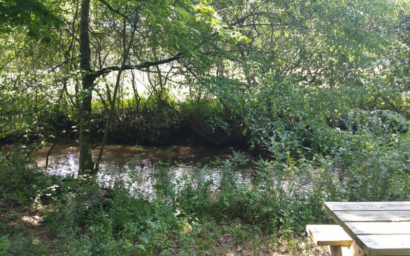 Main View