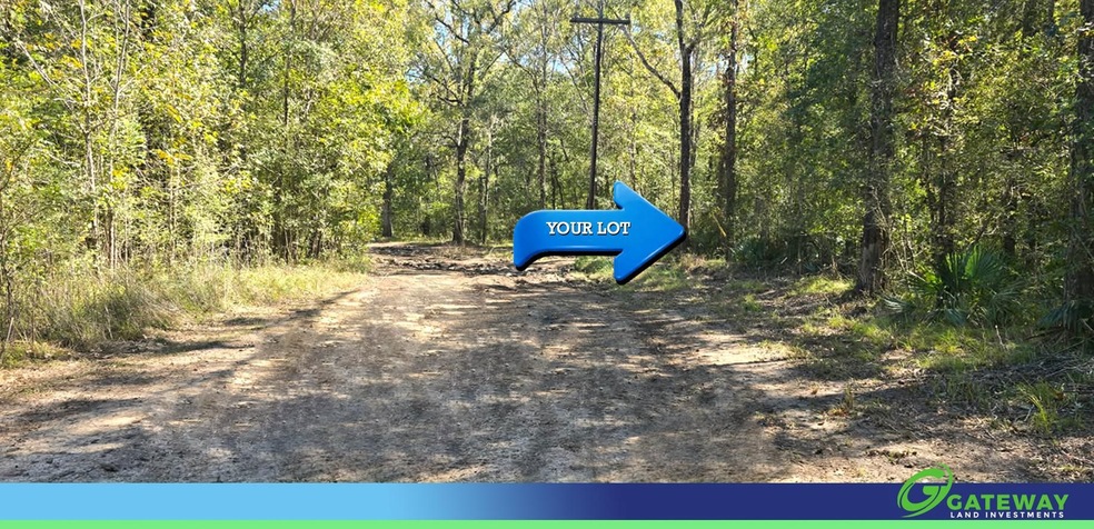 0 Road 2900 unit 25519046, Cleveland, TX 77327 - photo 1