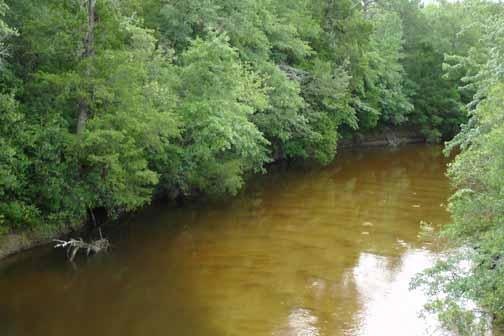 Shoal River South Boundary of Property