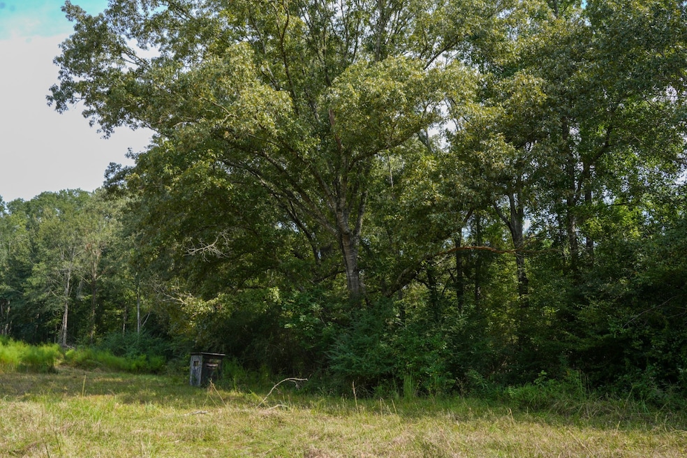 0 Bethesda Rd unit 11612880, Crystal Springs, MS 39059 - photo 1