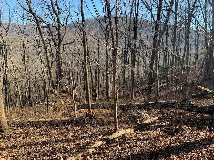 2933 Locust Trail, Jasper, GA 30143 - photo 1