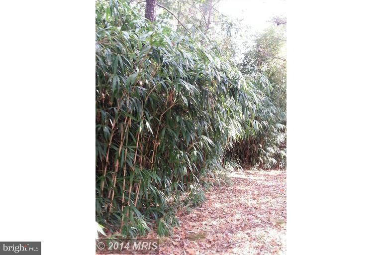 4810 Bayonne Ave, Baltimore, MD 21206 - photo 1