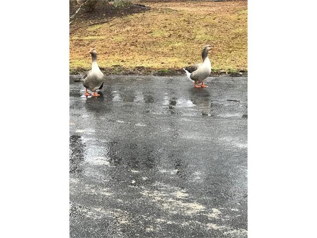 702 Willow Ct, Hopewell, VA 23860 - photo 1