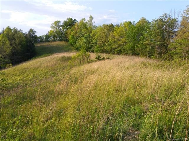 Gentle Pasture Up To Potential Home Site