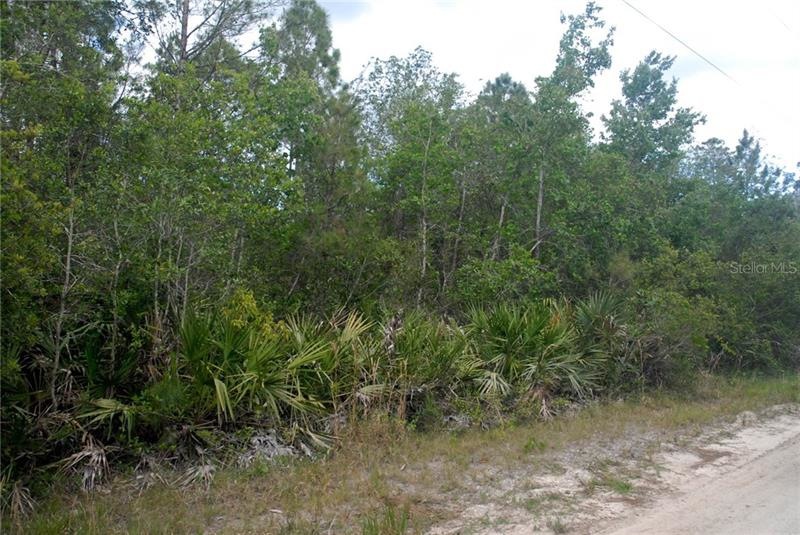 Front from road looking a bit south, power line ov