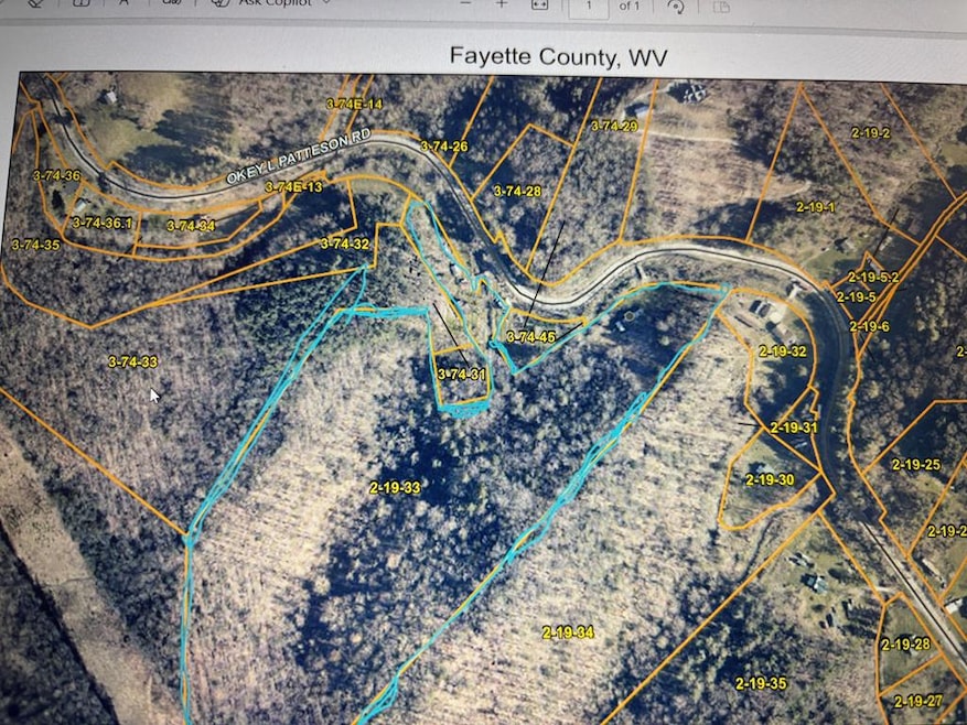 1262 Okey L Patterson Rd, Scarbro, WV 25917 - photo 1