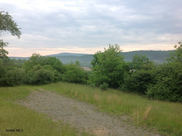 Main View