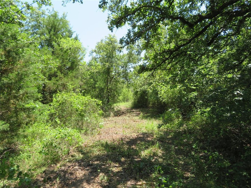 1456 Greenwood Ln, Forestburg, TX 76239 - photo 1