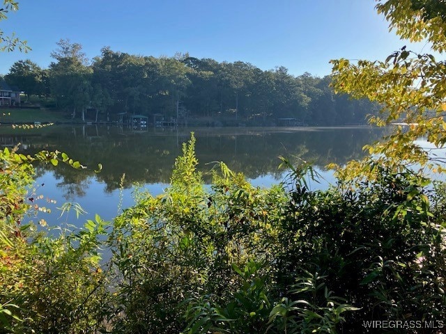 Lot 1 Sunshine Rd, Andalusia, AL 36421 - photo 1