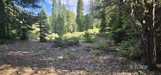 91 Wildwood Ranch Rd, Wildwood, CA 96076 - photo 1