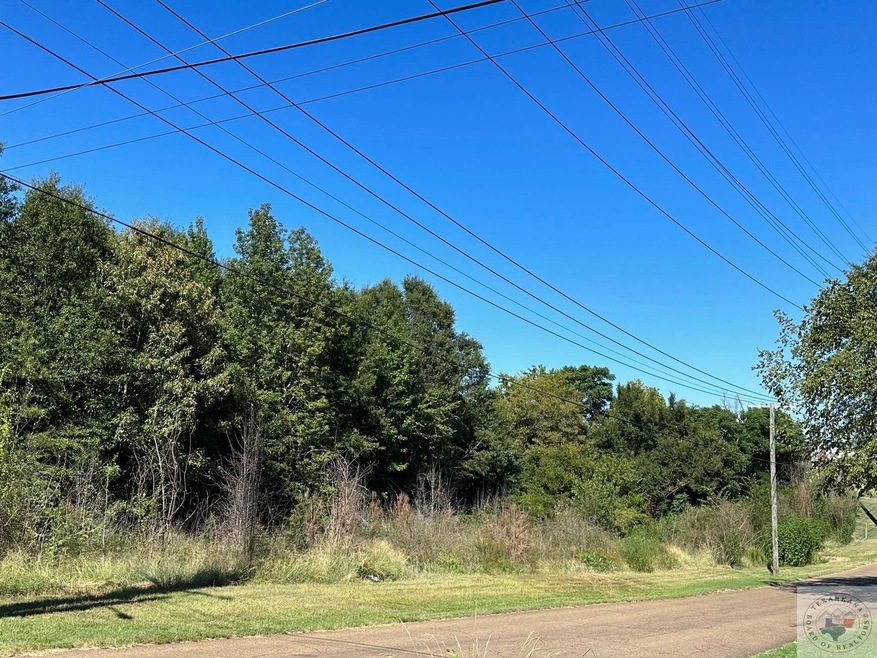 3001 Bender Rd, Texarkana, TX 75501 - photo 1