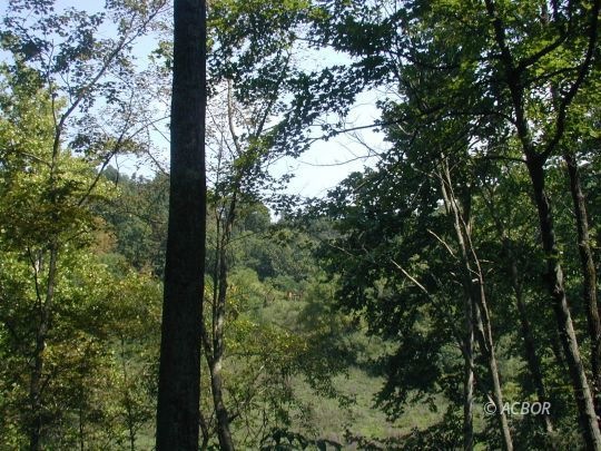 View of Property