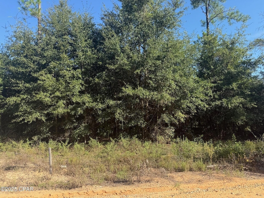 XXX Finch Cir, Chipley, FL 32428 - photo 1