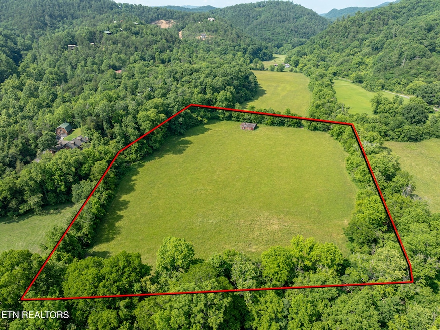 DJI_0009-Edit