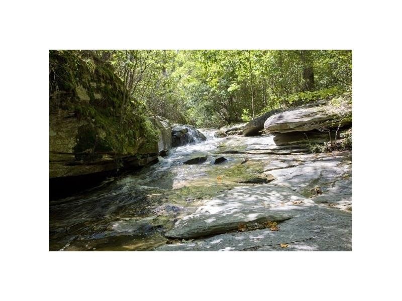 6921 Bay Laurel Way, Flowery Branch, GA 30542 - photo 1