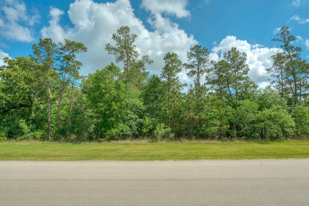 3706 Birnham Bend Cir, Spring, TX 77386 - photo 1