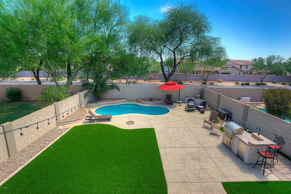 Back yard 1