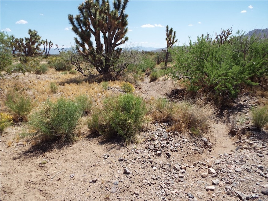 View of undeveloped land