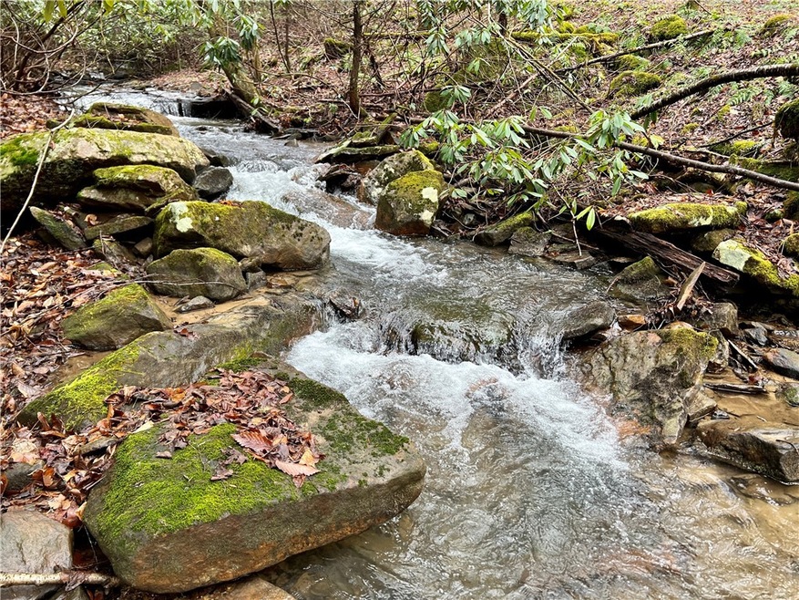 0 Listonburg Rd, Confluence, PA