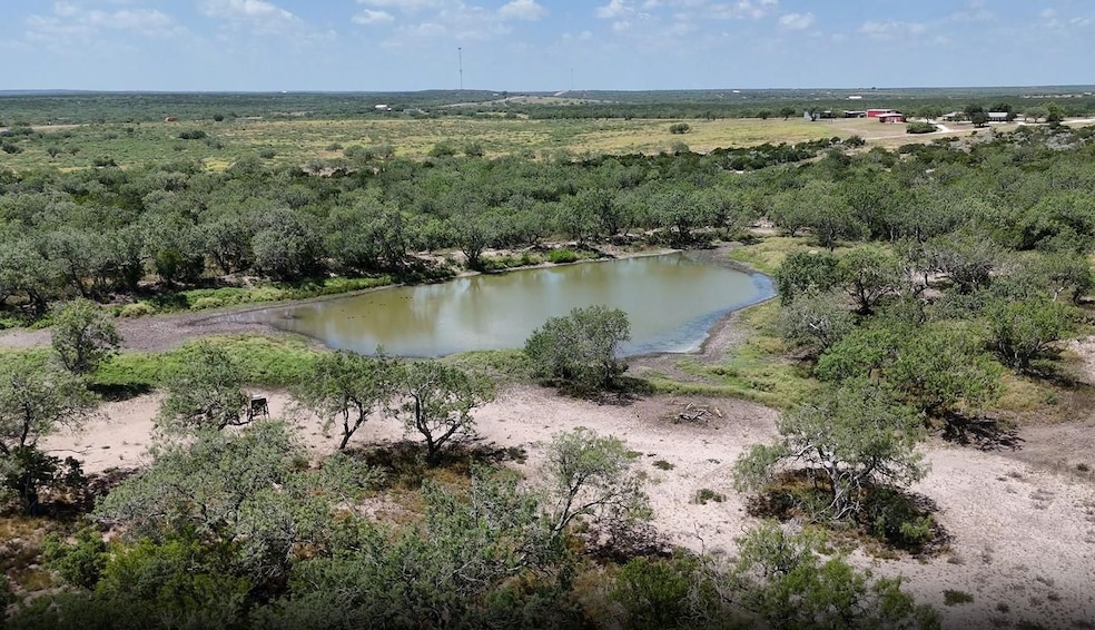 917 U S 59, George West, TX 78022 - photo 1