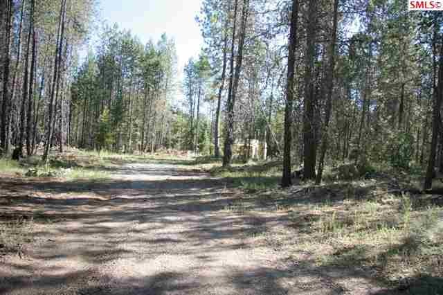 1031 Homestead Rd, Athol, ID 83801 - photo 1