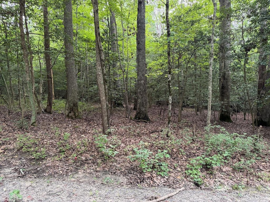 TBD Lonesome Pine Trail, Lancaster, VA 22503 - photo 1