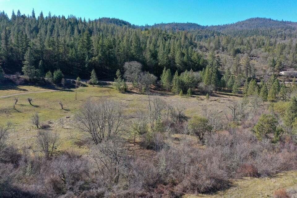 pic1