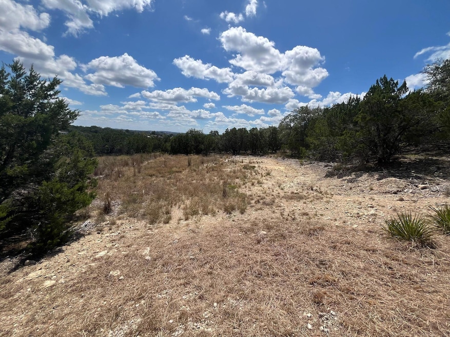 20705 Hayes Cove, Lago Vista, TX 78645 - photo 1