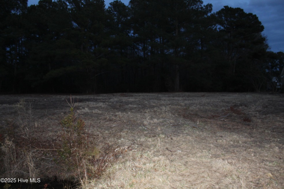 316 Bobbys Drive view 1 lot