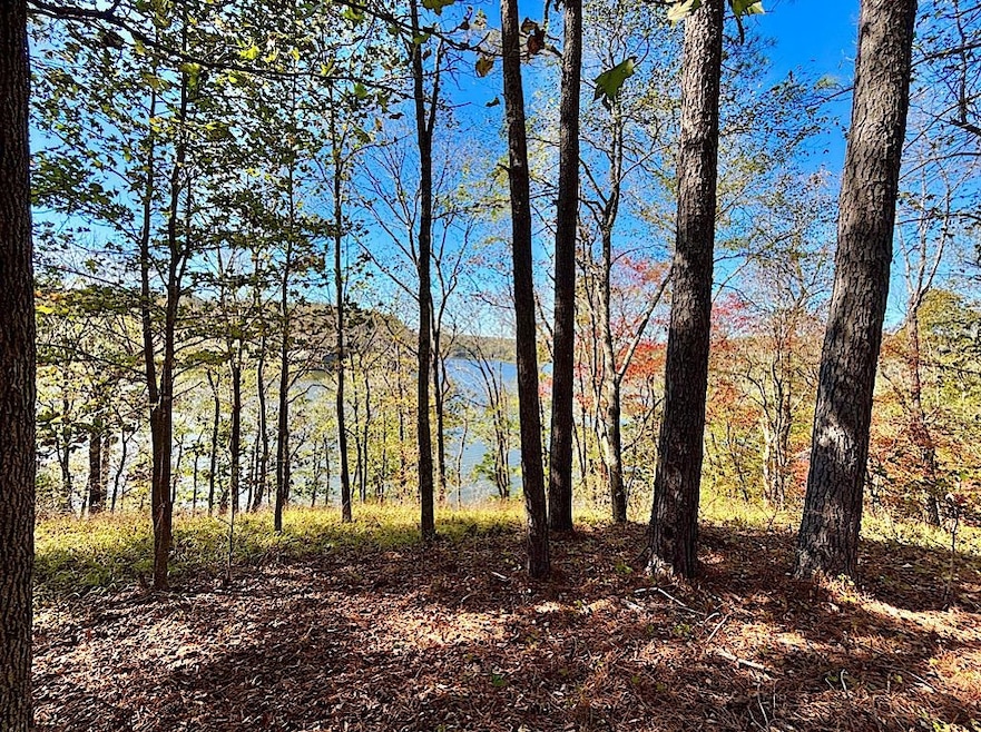 0 Eagle Port Rd, Quinton, AL 35130 - photo 1