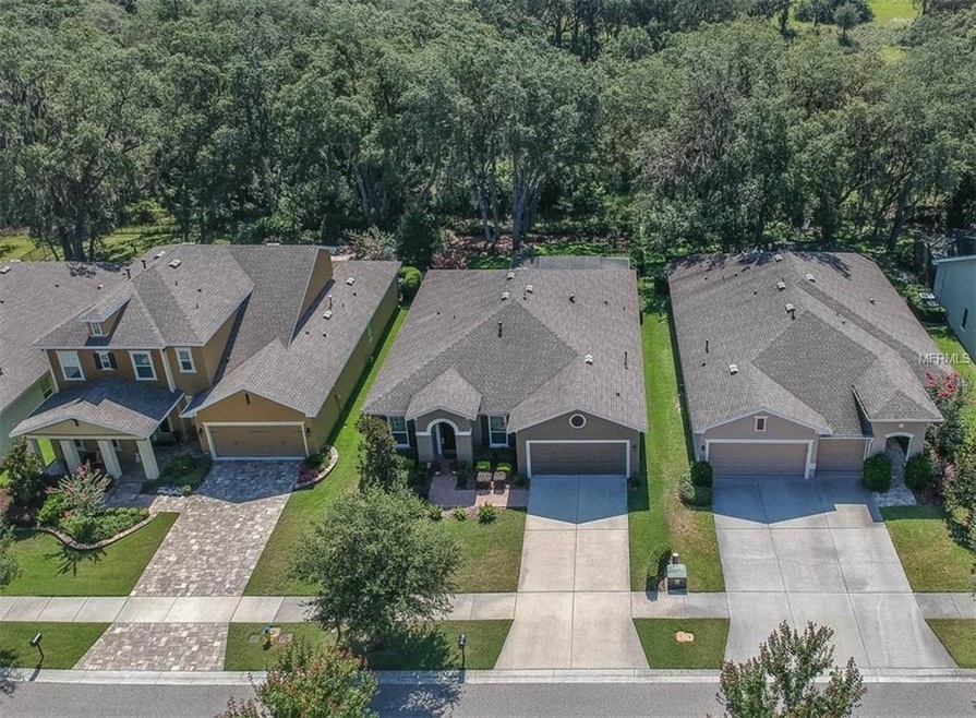 16007 Courtside View Dr, Lithia, FL 33547 - photo 1