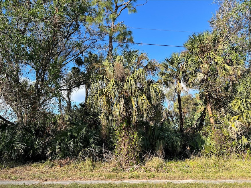 0 Adderton Ave unit MFRN6136068, North Port, FL 34288 - photo 1